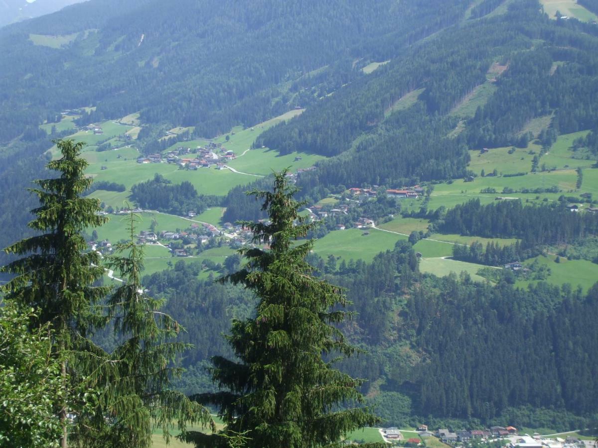 Apartment Bloserhof Hauser